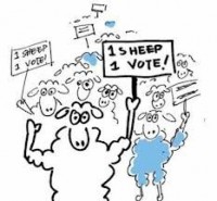 /album/fenykepgaleria/birkak-jpg/