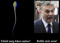 /album/kepgaleria-fenykepgaleria/ondo-jpg/